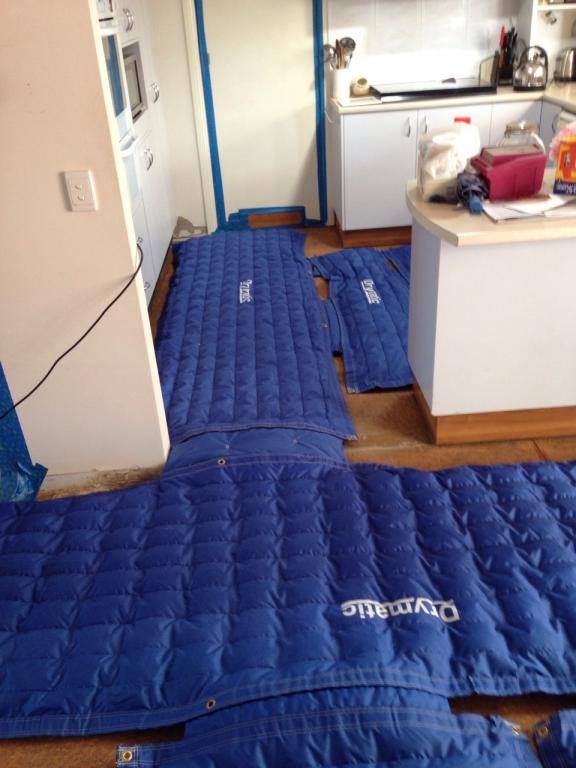 DBK Drymatic - Floor Heat Drying System, #FGPH155, LARGE FLOOR MAT KIT showing hallways and kitchen being dried by mats