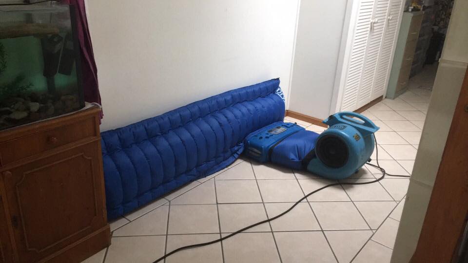 DBK Drymatic #FGPH351, Platinum Package Wall/Floor Mat Drying System drying a baseboard