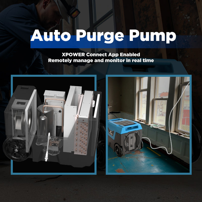 XPOWER XD-130Li Low Grain Refrigerant (LGR) Dehumidifier auto purge pump view