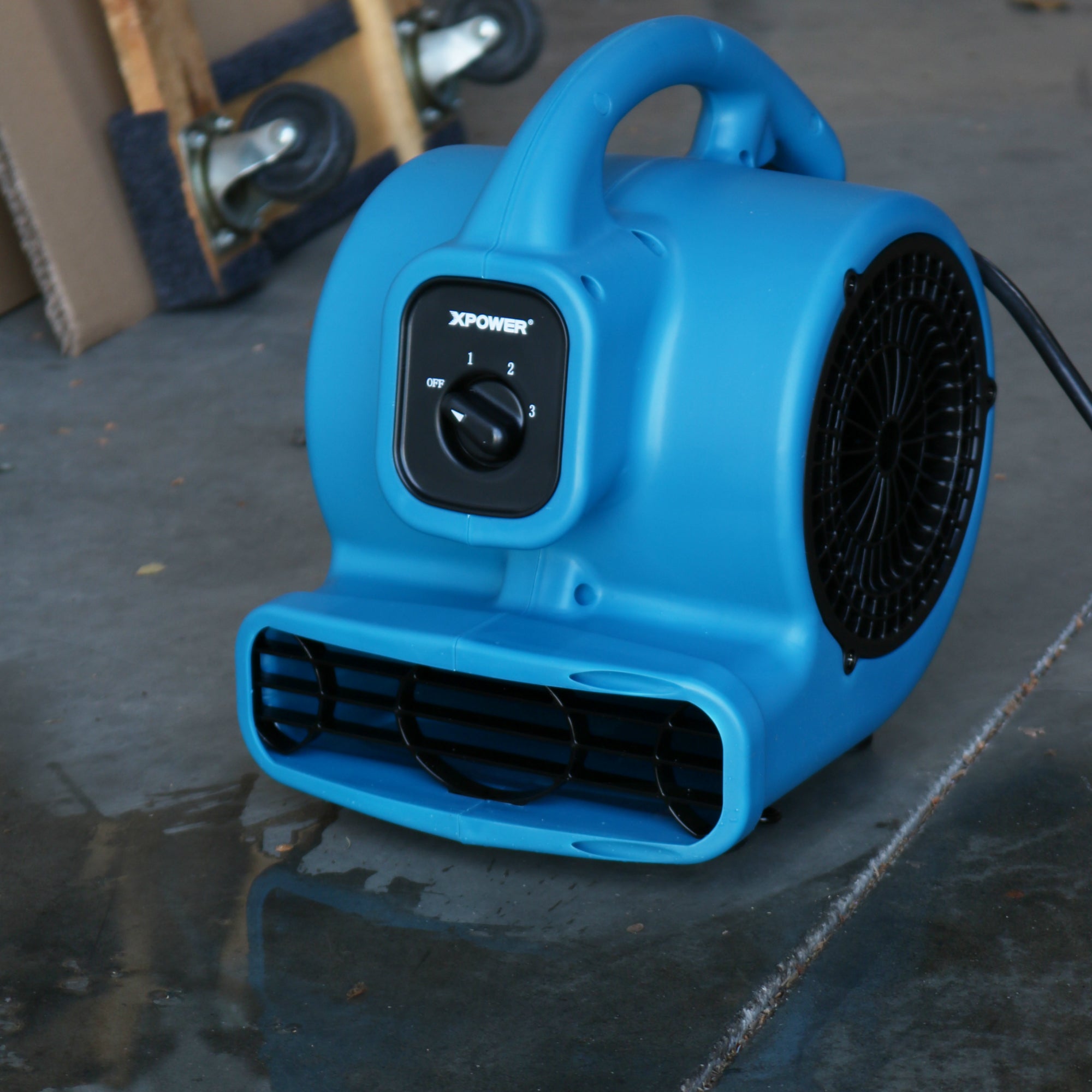 drying a puddle with XPOWER P-80A Mighty Air Mover – BLUE & BLACK
