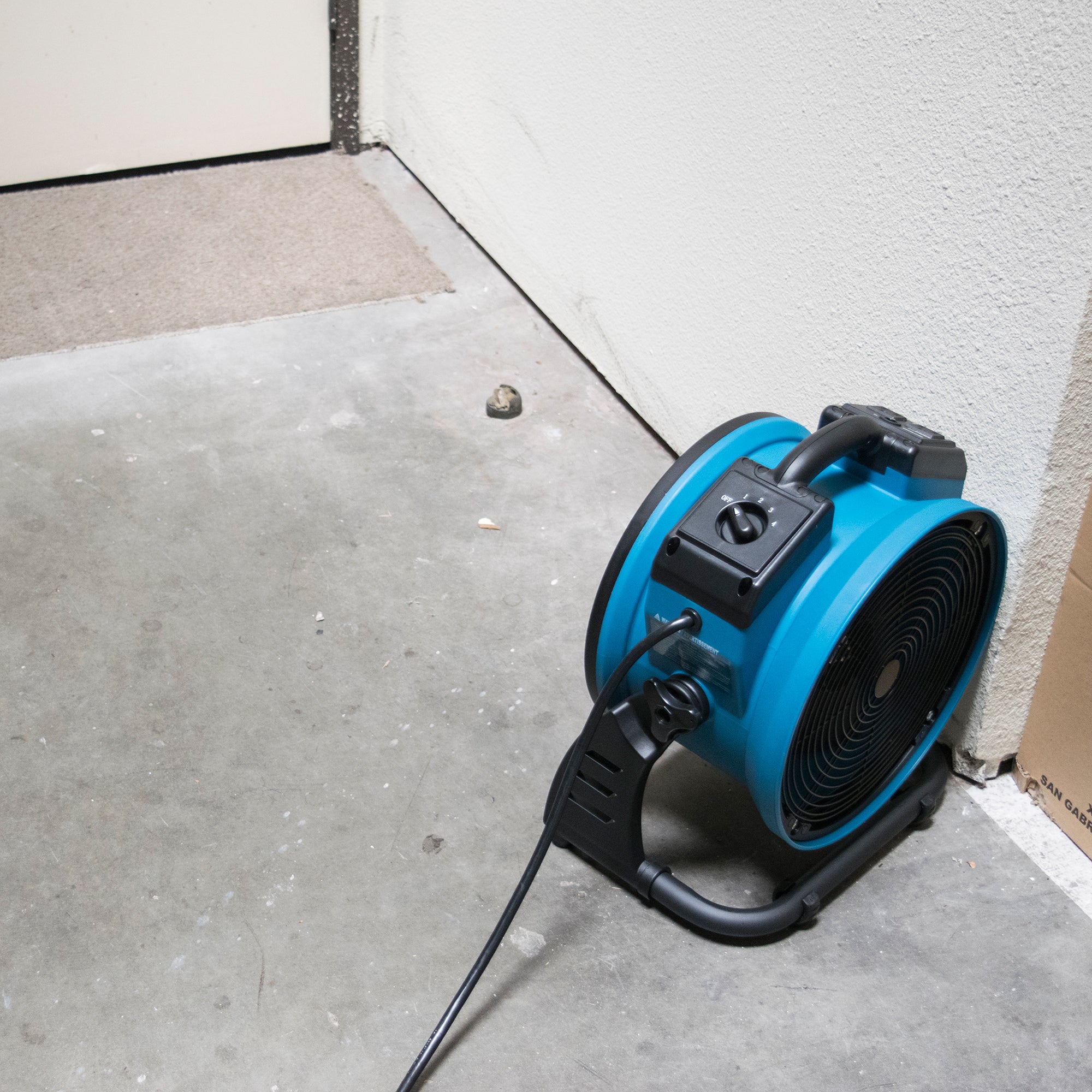 blue xpower x 39ar in a hallway drying it out
