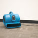 XPOWER P-830 1 HP Air Mover - 3600 CFM carpet view
